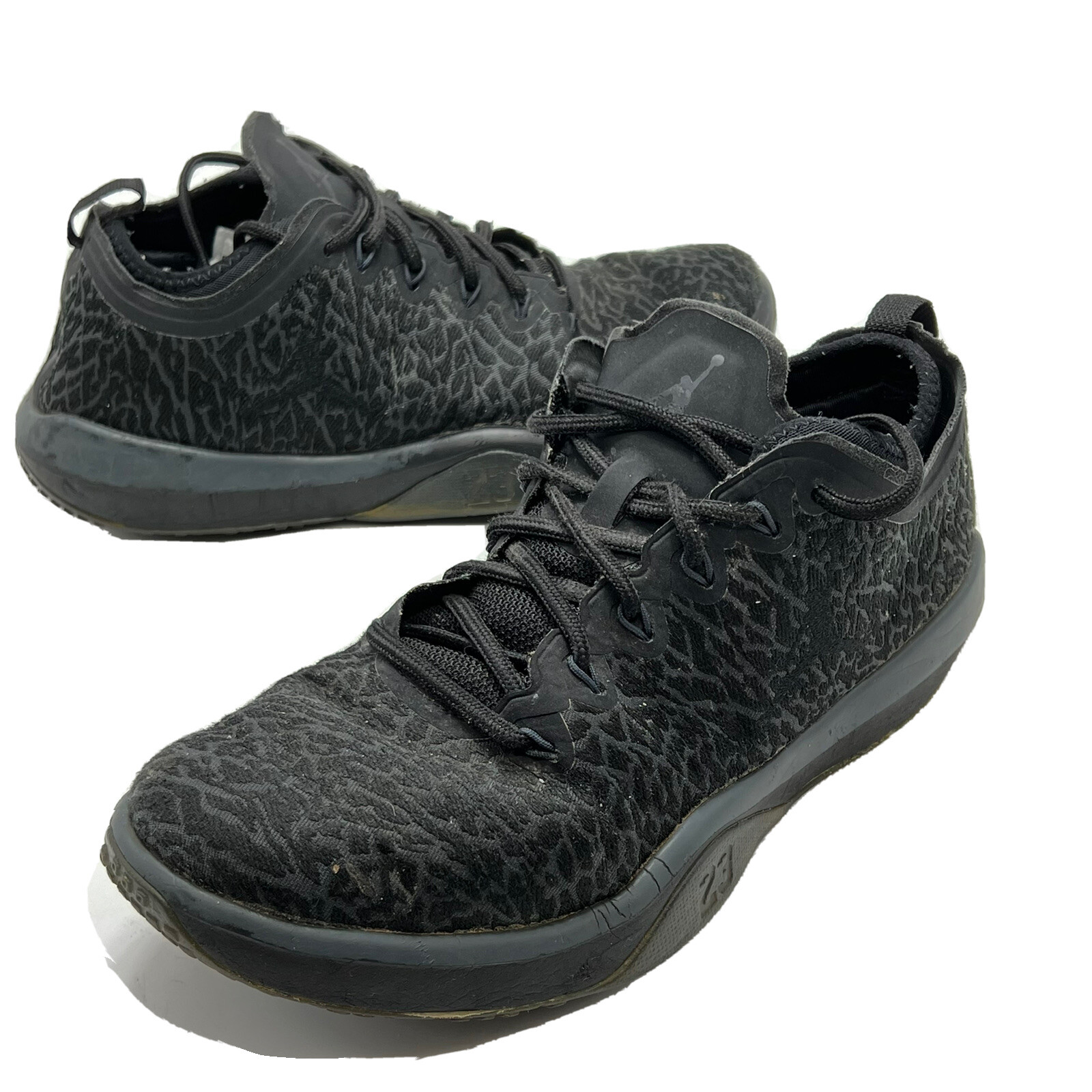 NIKE JORDAN TRAINER 1 LOW Men's Shoes 