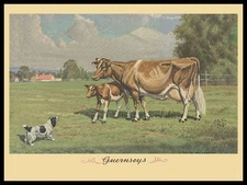 1935 Style Guernsey Cows with Dog NEW METAL SIGN: 9x12" Ships Free