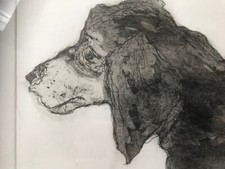 Sausage Dog. Doggy. Dachshund. Original signed Etching print framed