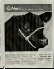 1952 Fedders Has a Steak in Your Life Condensers Cow Vintage Print Ad 2067