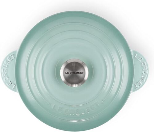 Le Creuset Cocotte Every 20 Sage Rice Pot 20cm 2.8L Cast Iron Silver knob JP NEW - Picture 6 of 19