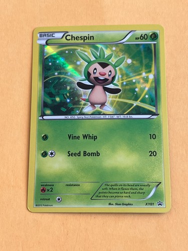 Pokemon TCG - Singles - Various Sets - Holo Rare - Black Star - Pick your card! - 第 13/50 張圖片