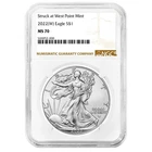 2022 (W) $1 1-oz American Silver Eagle NGC MS70 Brown Label