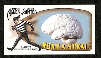2022 Topps Allen & Ginter (Minis: Bearing Fruit, Ducks, Time Out, What a Steal)