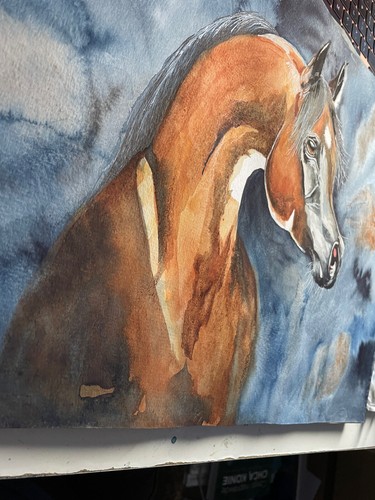 COA Original Art Watercolor Painting Arabian Horse Portrait 12”x16” Vintage A3 A - Picture 2 of 4