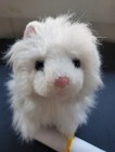 Fresh Start Friend - Ganz Webkinz 2010 8" White Persian Kitty Cat for Adoption