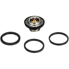 Thermostat Daewoo NEXIA