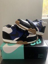 polar skate co x nike sb air trainer 1