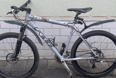 Felt SIX Comp Mountainbike silber/schwarz 21.5 Scheibenbremsen Spritzschutz