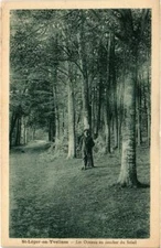 Old postcard St-LEGER-en-YVELINES - Les Oiseaux au sunset du Soleil (102518)