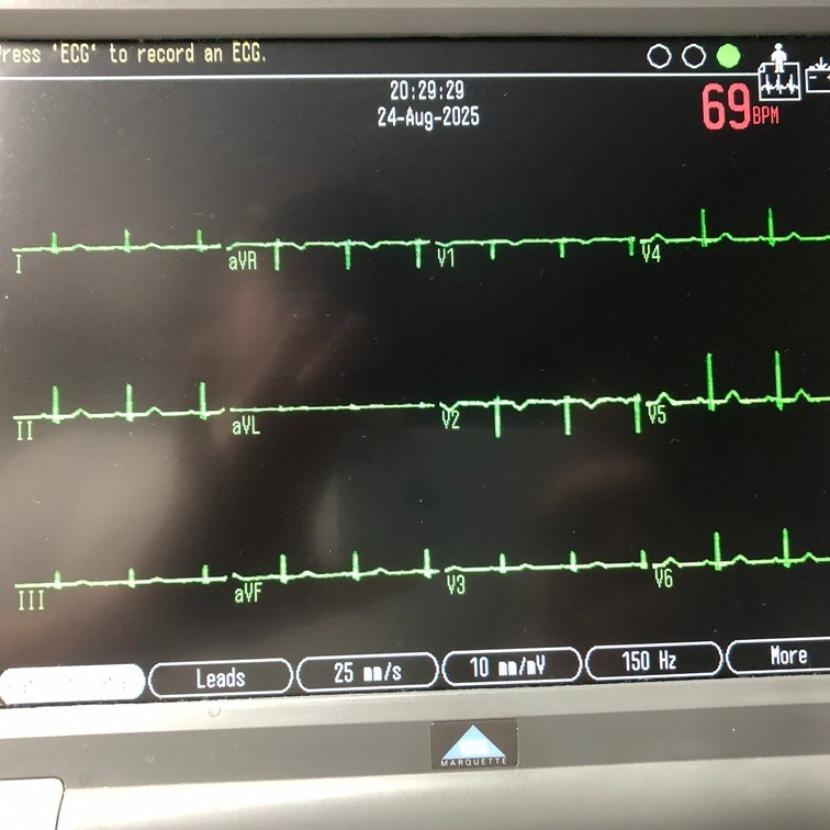 Pronk Technologies SimCube SC-5 Patient Simulator