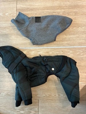 Italian Greyhound Clothes/Coats/Winter Jackets Size XS