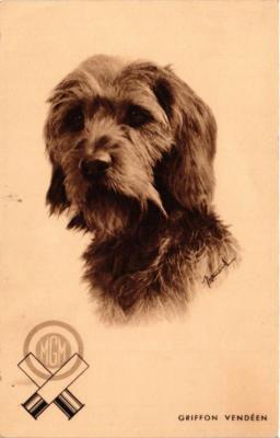 CPA AK Griffon Vendéen DOGS (728183)