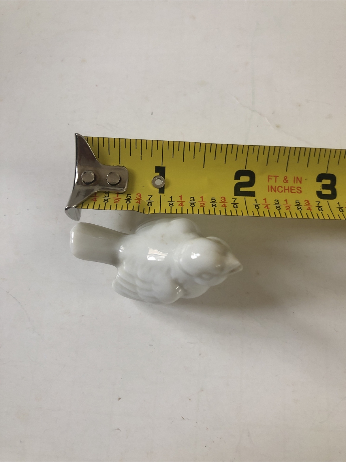 Picture 10 of 10