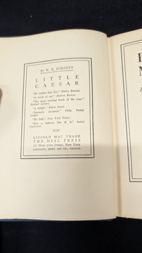 Iron Man by W.R. Burnett Lincoln Mac Weagh New York 1930, by Dial Press 1st Edit - Picture 12 of 24