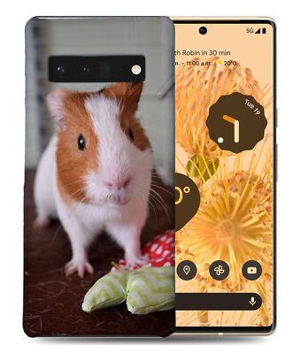 CASE COVER FOR GOOGLE PIXEL|GUINEA PIGS 6