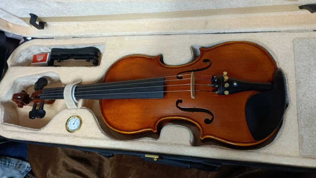 Cvn 2024 600 violin