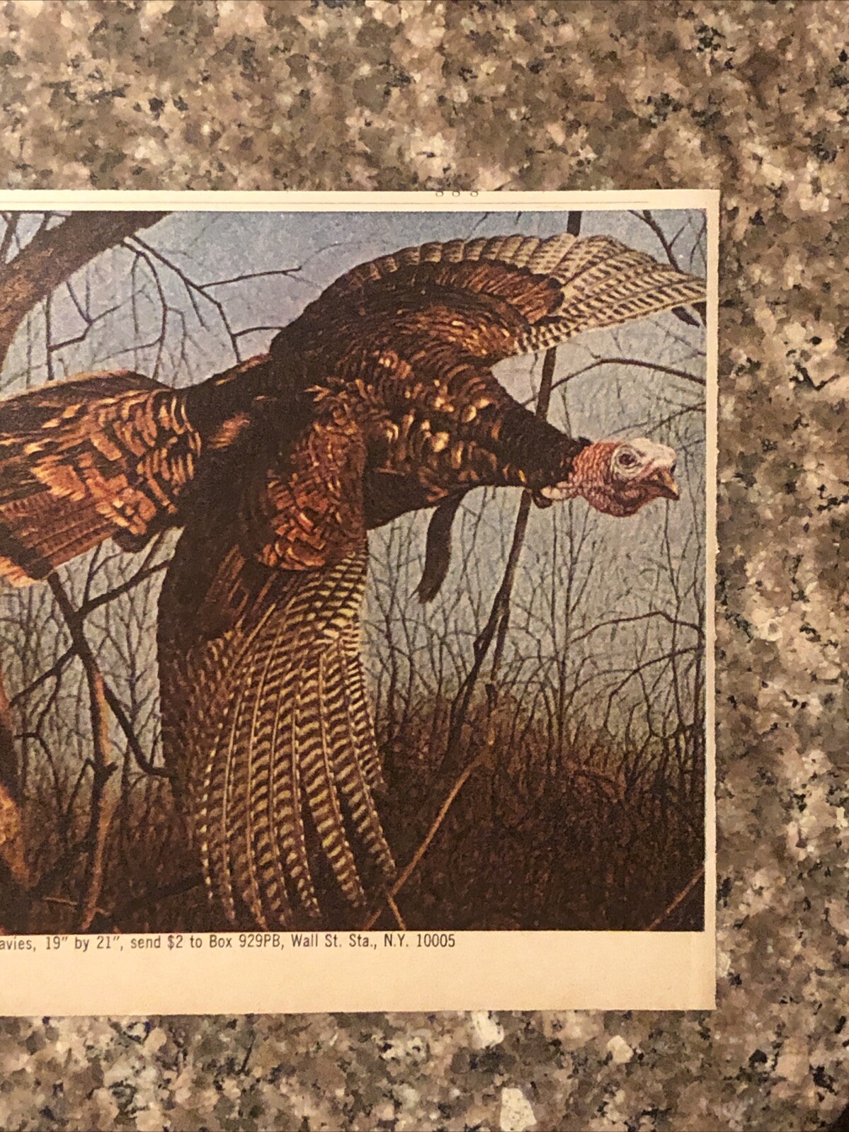 1978 Wild Turkey Bourbon PRINT AD Benjamin Franklin 1776 Lore Symbol VTG 1970s