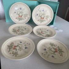 6 Biltons Geranium Pattern Dinner Plates Set Of 6 1980s Vintage Diameter 24.5cm