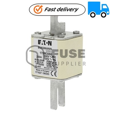 1PC New 170M3066 250A, 690V High Speed Fuse-link Fast Shipment *yt