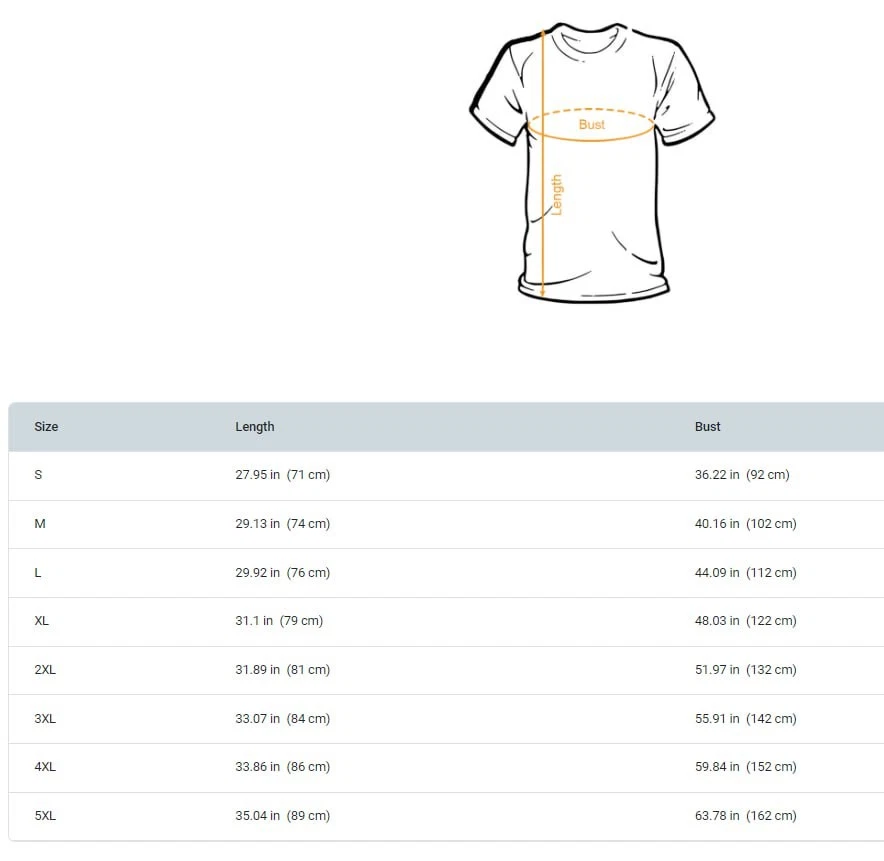 Denver Broncos 2025 AFC Champions T-Shirt