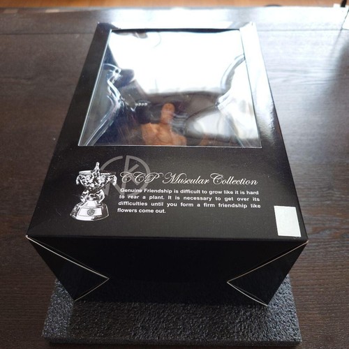 Ramenman Ice Deathmatch Ver. Original Color CCP Muscular Collection No.6 Figure - Picture 15 of 20