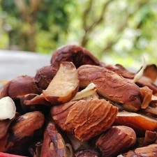 Jackfruit Organic Seed Slices Ceylon Tropical Dried Jack Fruit Pieces 100g