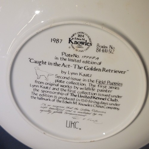 Limited Edition Fine China Plate 1987 "Caught In The Act~The Golden Retriever" - Picture 2 of 3