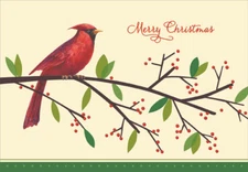 Cardinal on Branch Designer Greetings Christmas Card