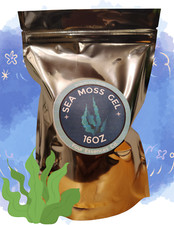 Wildcrafted 100 Organic Raw Caribbean Irish Sea Moss Gel  Unflavored