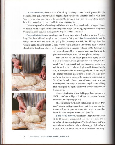 Peter Reinhart's Artisan Breads Every Day : Fast and Easy Recipes 2009 HC/DJ 1ST - Picture 5 of 6