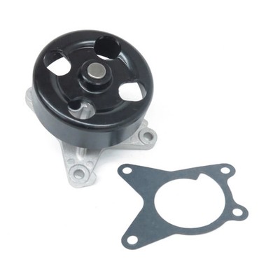 US Motor Works US6218 Water Pump