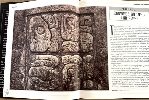 "ALIEN ART: Extraterrestrial Expressions on Earth" 1998 As New - Picture 5 of 10