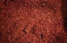 Flake Soil, 1L for Flower, Stag & Rhino beetle breeding larvae grub substrate