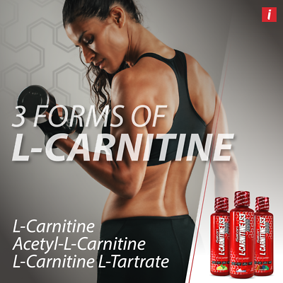 L-CARNITINE LS3 3000 Fat Loss - Metabolism Activator - Gummy Bear (32 Servings) L-CARNITINE LS3 3000 Fat Loss - Metabolism Activator - Gummy Bear (32 Servings)