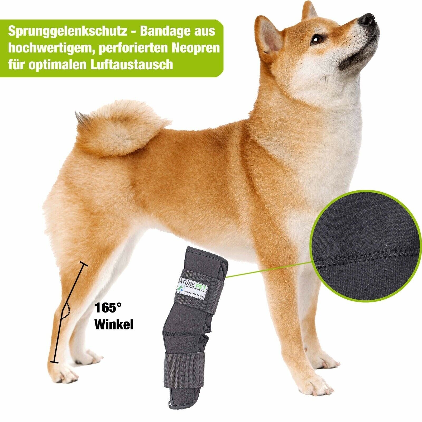 Bild 1 von 10