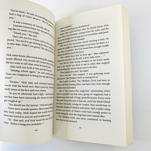 The Demon's Lexicon by Sarah Rees Brennan 2009 Trilogy Fantasy - Picture 8 of 8
