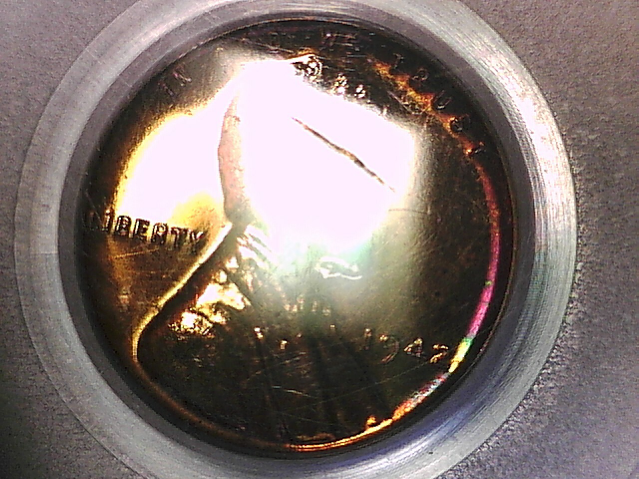 Picture 5 of 5