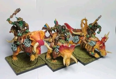 conquest thunder riders PROFESSIONAL PAINTING para bellum D093