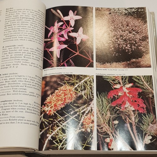 Australian Native Plants by John W. Wrigley Propogation Cultivation Landscaping - Picture 20 of 23