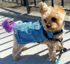 dog jean jacket target