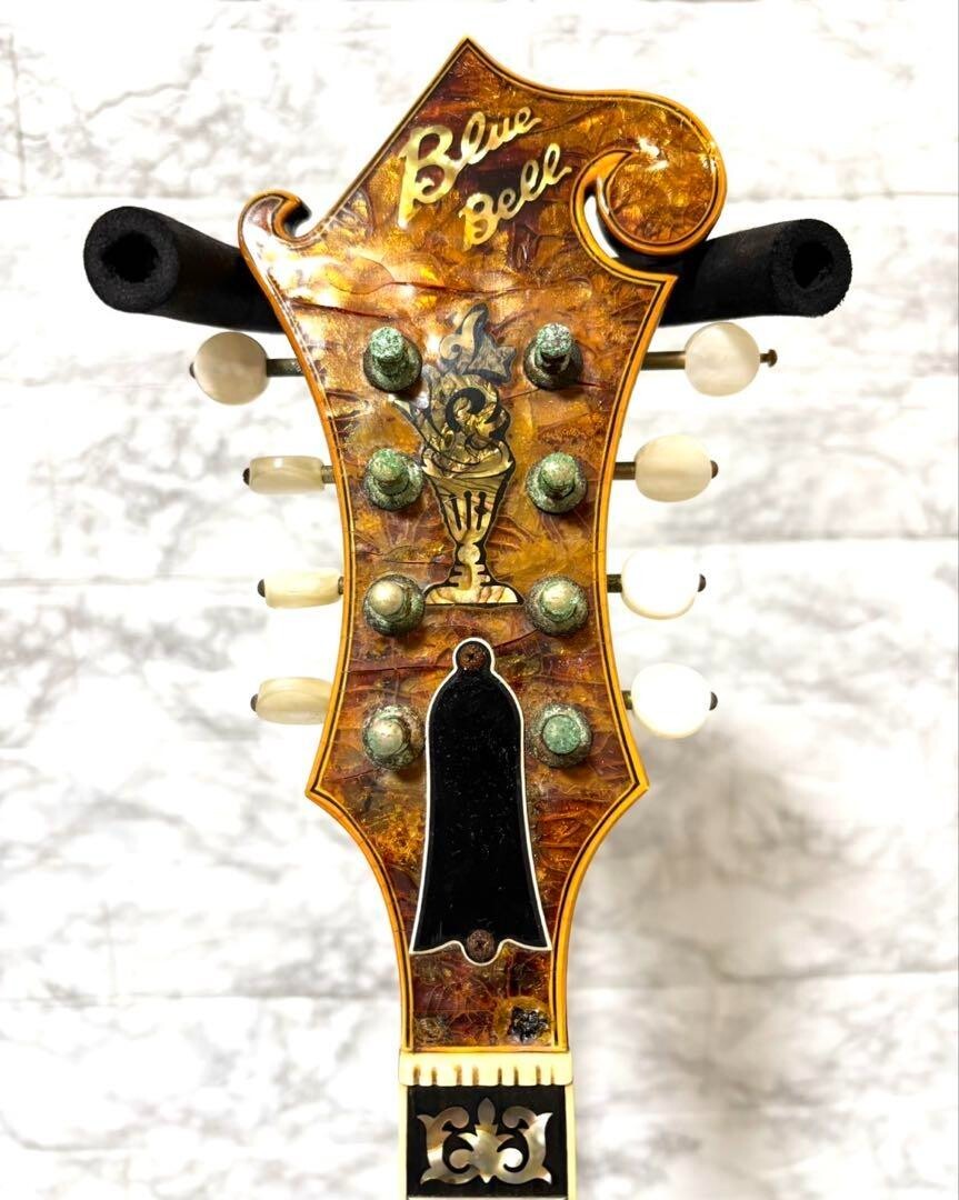 BlueBell Flat Mandolin F-8 ブルーベル フラットマンドリン 富士