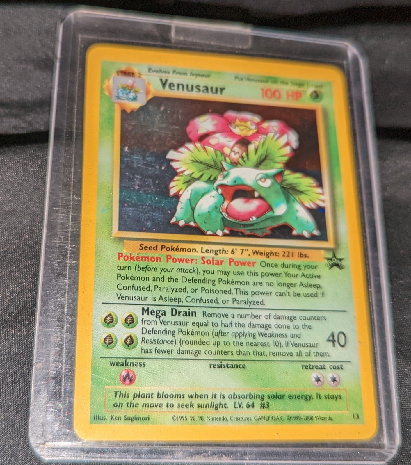 Pokemon 2000 Venusaur Black Star Promo Holo 13 WOTC MINT eBay