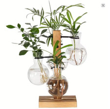 Hydroponic Glass Vase Desktop Plant Terrarium Planter Bulb Propagation