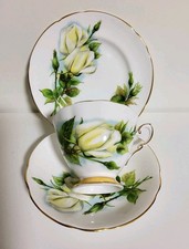 Paragon Harry Wheatcroft Six World Famous Roses Tea Cup & Saucer Trio Virgo