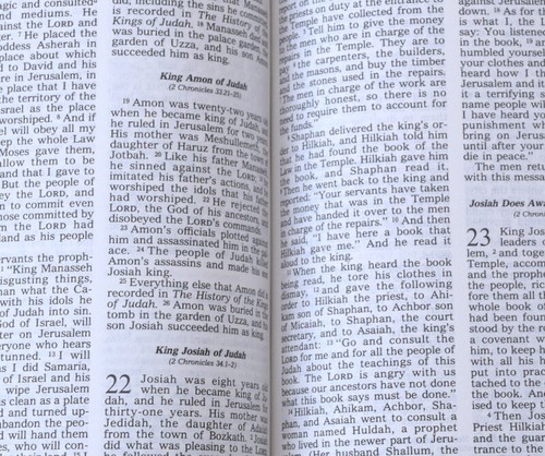 Vintage Holy Bible Todays English Version Good News Bible Presbyterian Church 1984 - Bild 7 von 11