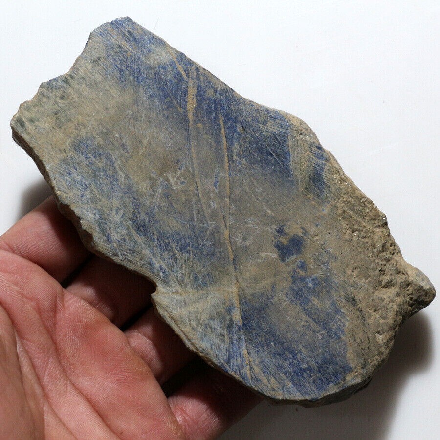 Foto 3 di 7