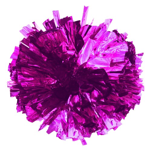 Kids 2 Pack Cheer Leader Shiny Pom Poms for Team Spirit Cheering Performance - 第 32/40 張圖片