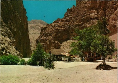 CPM MAROC Tenerhir - Les gorges (881227)
