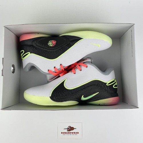 Nike LeBron 22 Crown Jewel EU 43/44/44,5/45 Men Basketball Shoes FZ1094-101 NEW - Imagen 11 de 11